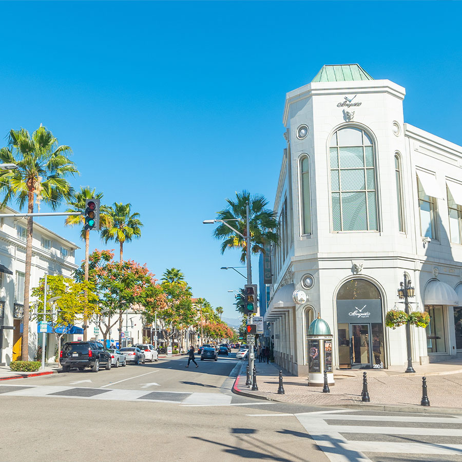 Wesley Chapel Real Estate - Elaine Pumarejo, Broker/REALTOR®